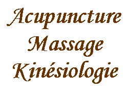 Zone de Texte: AcupunctureMassageKinésiologie