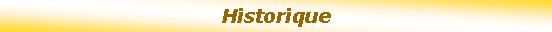 Zone de Texte: Historique
